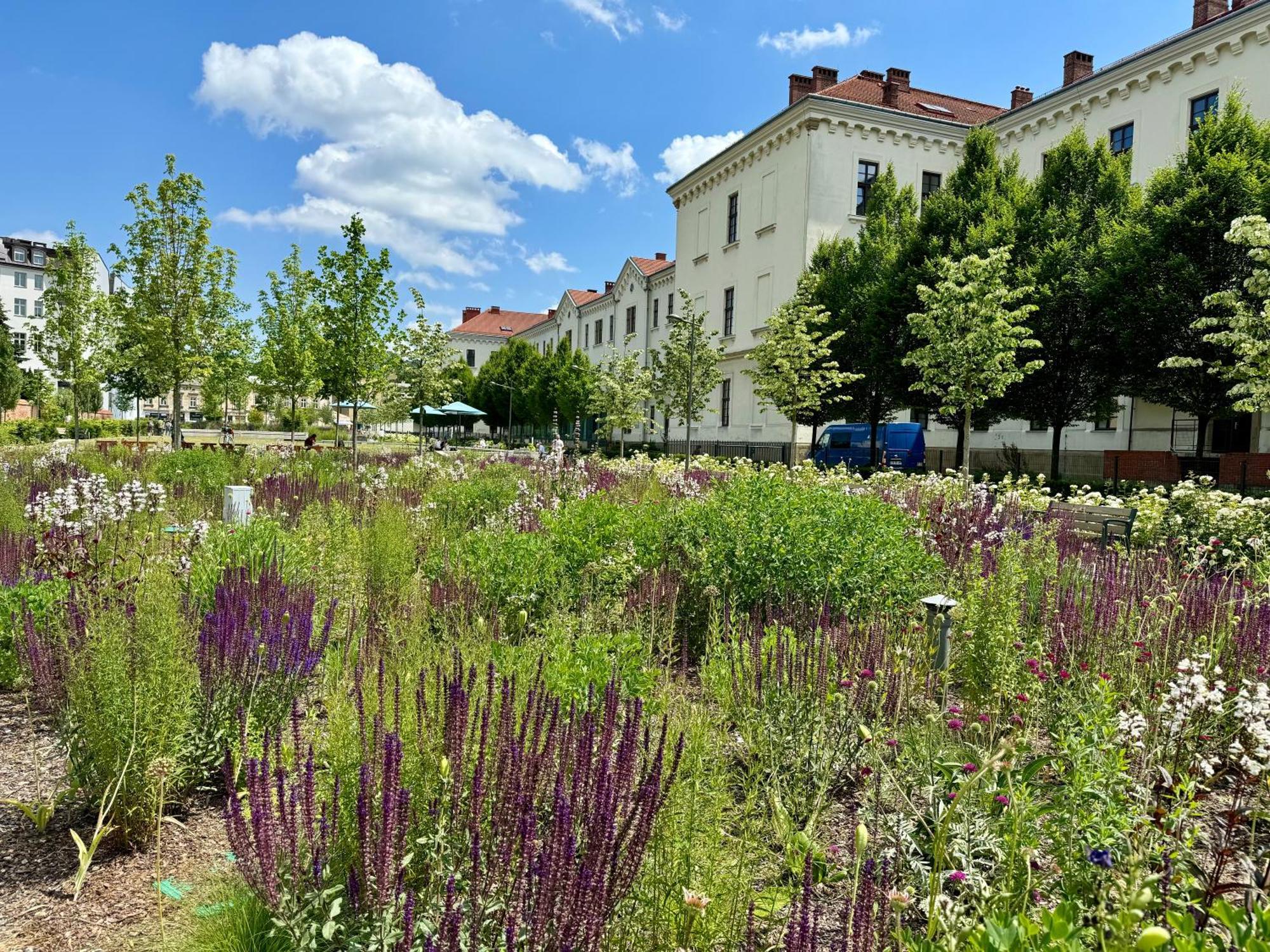 Gio Apartments, Luxury, Old Town Cracow Krakov Exteriér fotografie